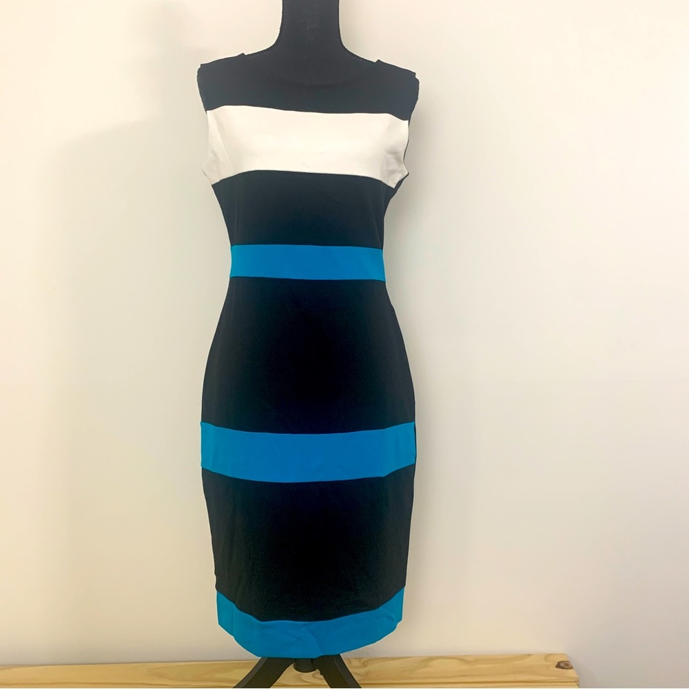 NWT Sleeveless Back Zip Lightweight Fitted Dress